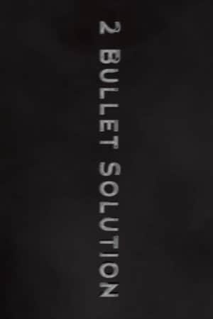 2 Bullet Solution