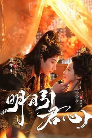 明月引君心
