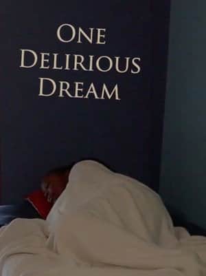 One Delirious Dream