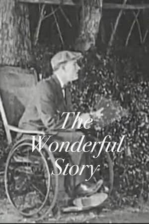 The Wonderful Story