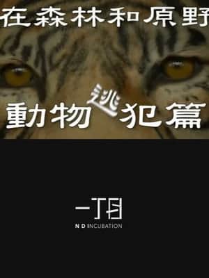 In the Forest and the Wilderness—The Animal Fugitives