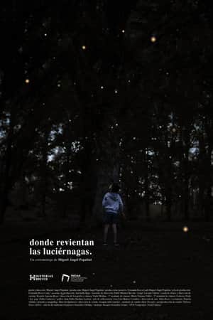 Where the fireflies burst