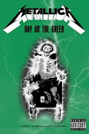 Metallica: Day on the Green
