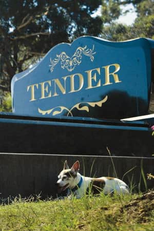 Tender