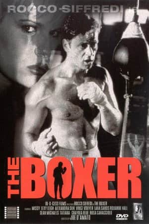The Boxer