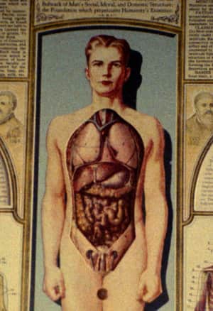 Natural History