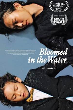 Bloomed in the Water