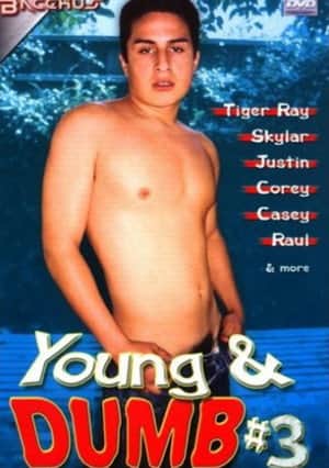 Young & Dumb 3