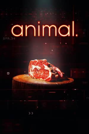 animal.