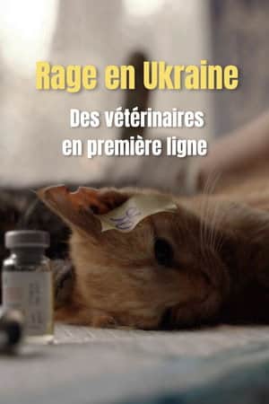 Rage en Ukraine : des vétériaires en première ligne