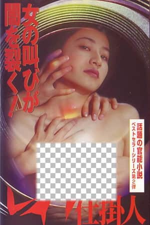 レイプ仕掛人
