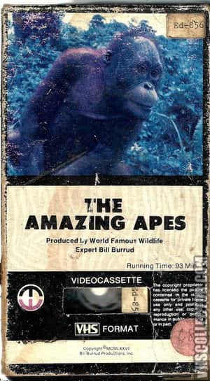 The Amazing Apes