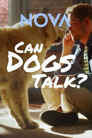 Can Dogs Talk?