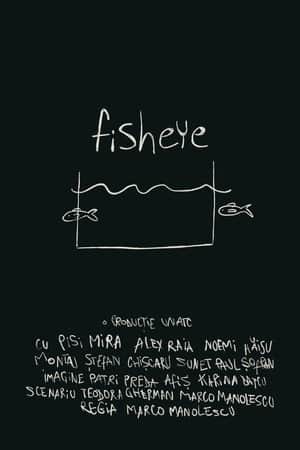fisheye