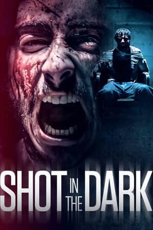 Shot in the Dark