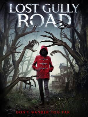 Lost Gully Road