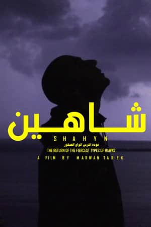 SHAHYN - THE RETURN OF THE FIERCEST TYPES OF HAWKS