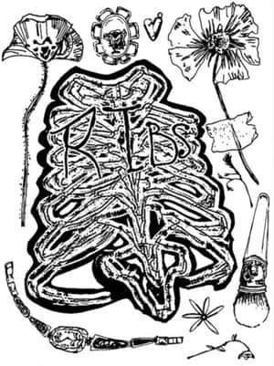 Ribs