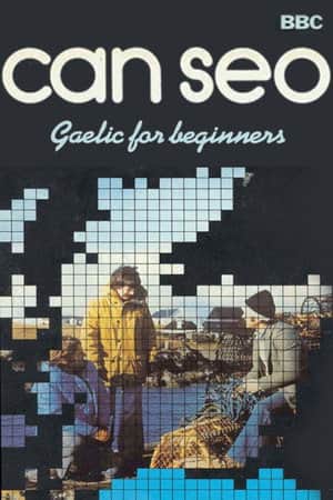 Can Seo