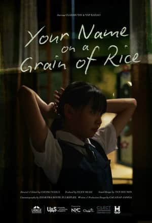 Your Name on a Grain of Rice