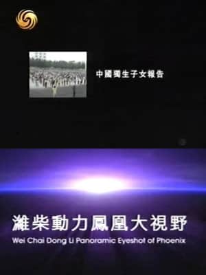 凤凰大视野:中国独生子女报告