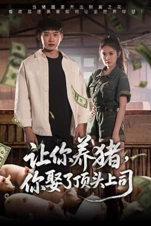 让你养猪,你娶了顶头上司