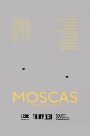 Moscas