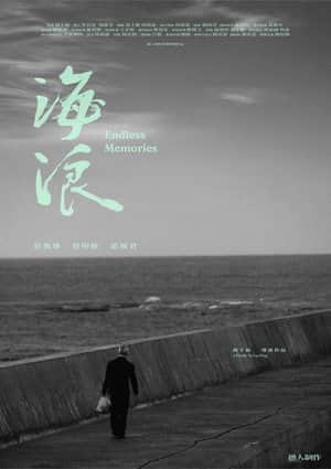 Endless Memories