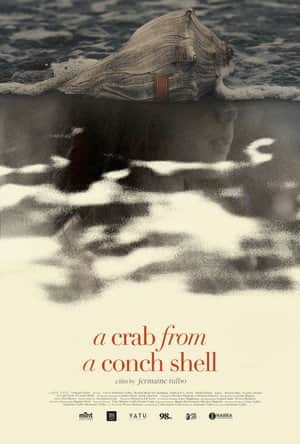 A Crab From A Conch Shell