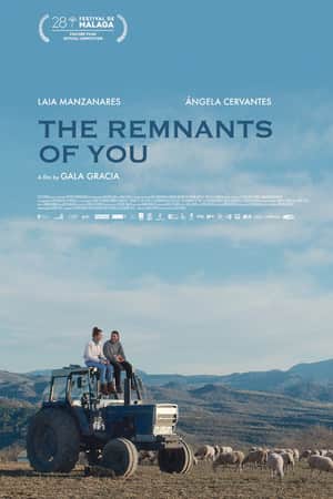 The Remnants of You
