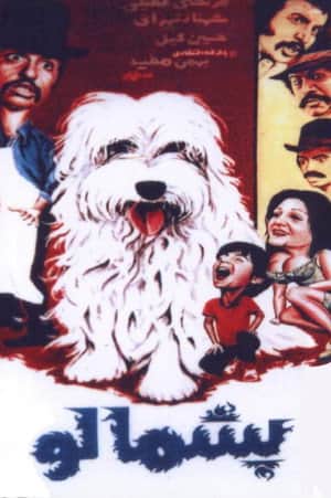 Furry
