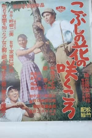 Kobushi no hana no sakukoro