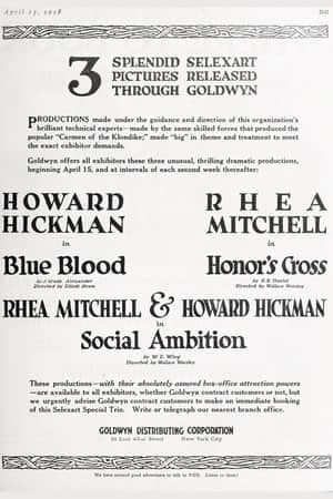 Social Ambition