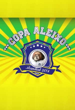 Copa Aleixo 2014
