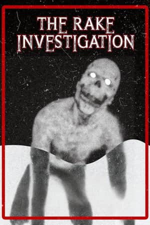 The Rake Investigation