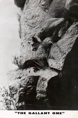 The Gallant One