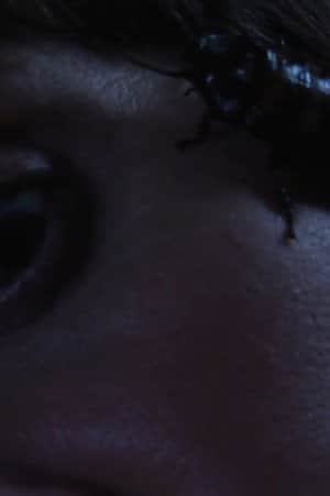 Bug Complex