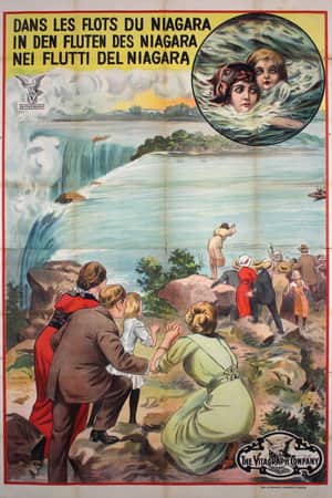 The Diver