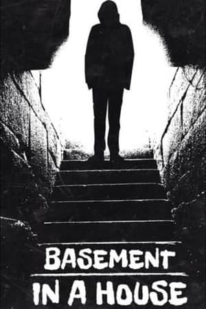 Basement in a House