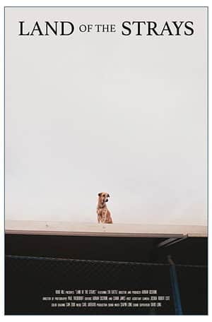 Land of the Strays