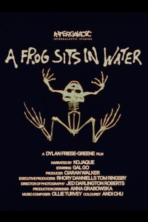 A Frog Sits In Water