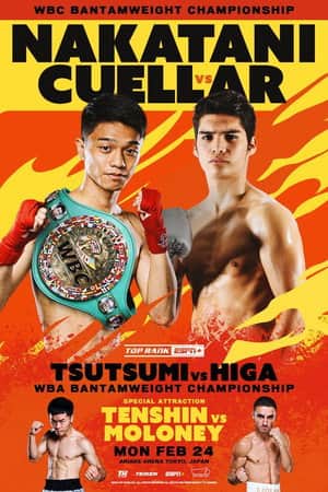 PRIME VIDEO BOXING 11