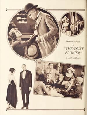 The Dust Flower