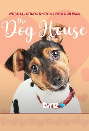 The Dog House NZ