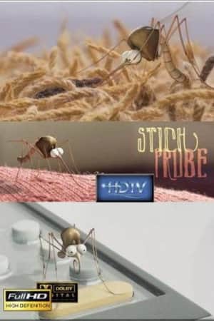 Stichprobe