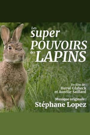 Les super pouvoirs du lapin