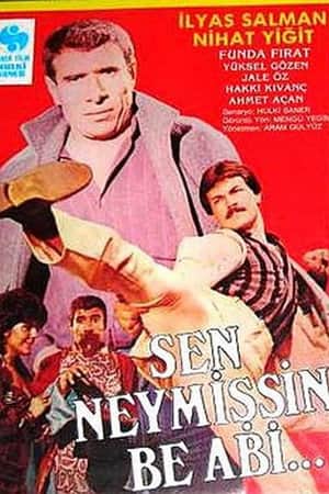 Sen Neymişsin Be Abi