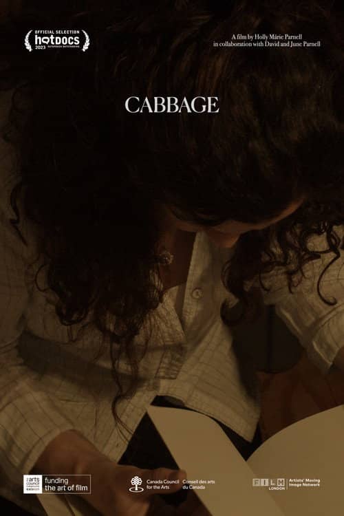 Cabbage