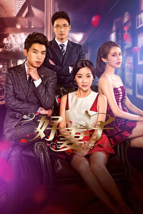 Good Wife Season 1 poster