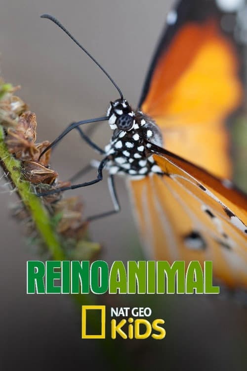Reino Animal Season 1 poster